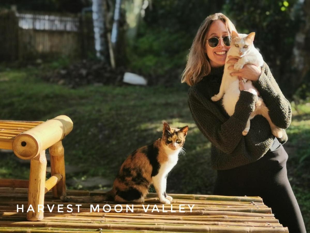 Harvest Moon Valley Ban Pang Luang Exterior photo