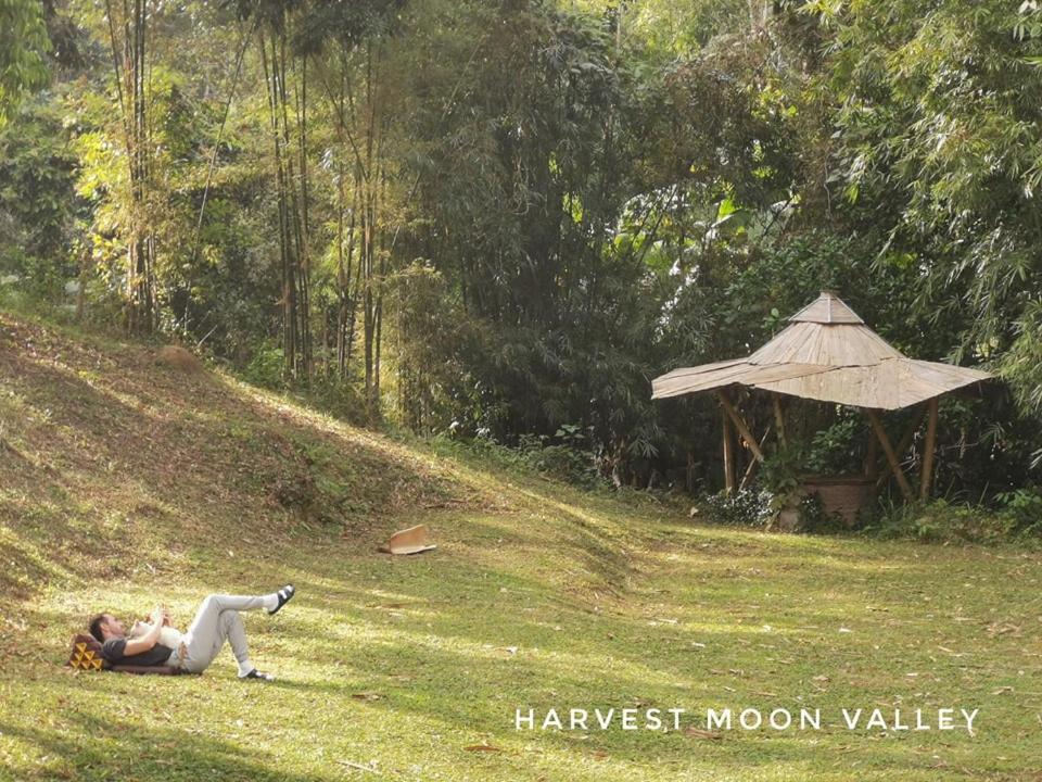 Harvest Moon Valley Ban Pang Luang Exterior photo